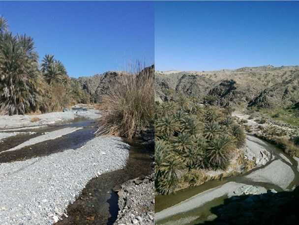 طبیعت بکر روستای کندر آسمینون منوجان/تصاویر