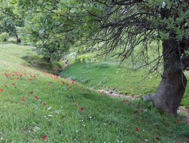 باجول؛ طبیعتی بکر در دامنه منگشت
