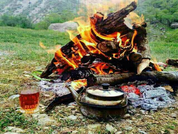 چای؛ لب سوز یا جانسوز!!؟؟