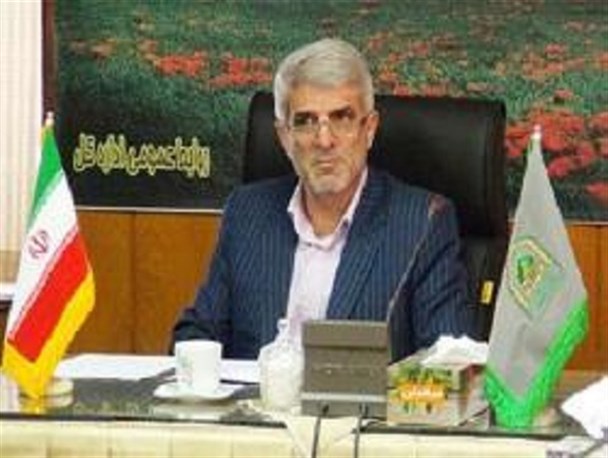صنایع سلولزی را نباید وابسته به جنگل‌های هیرکانی ۱۴۰ میلیون ساله کنیم