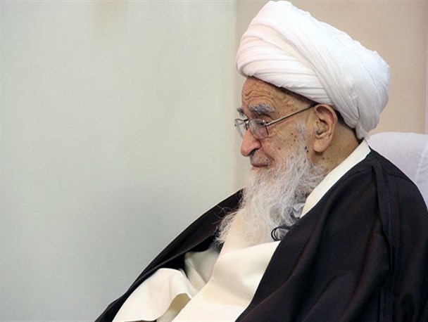 قدردانی آیت‌الله صافی از کادر پزشکی/ اجازه صرف نصف سهم امام
