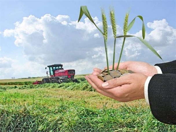 استفاده از فناوری مدرن؛ راهی برای اقتصادی کردن کشاورزی سنتی