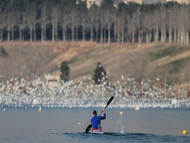 لیگ برتر آبهای آرام| برنامه مرحله دوم بانوان و آقایان مشخص شد