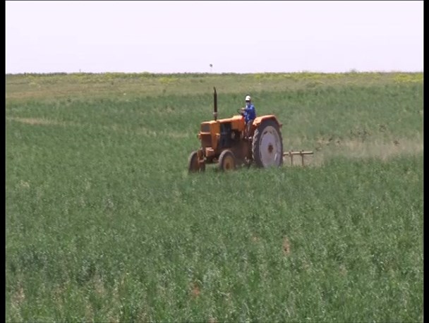 اجرای طرح جهش تولید در ۲۰۰ هزار هکتار از اراضی استان زنجان/ ۳۵ دستگاه از محل تسهیلات طرح جهش تولید تحویل کشاورزان شد