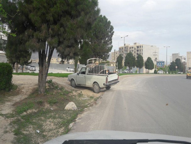 شهرداری می تواند به راحتی مانع حوادث در برخی نقاط شهری شود