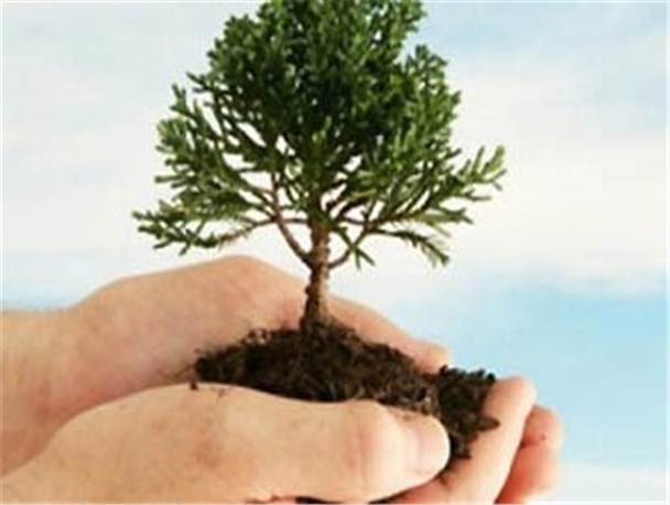 اسدآبادی‌ها در خانه بمانند، نهال هدیه می‌گیرند