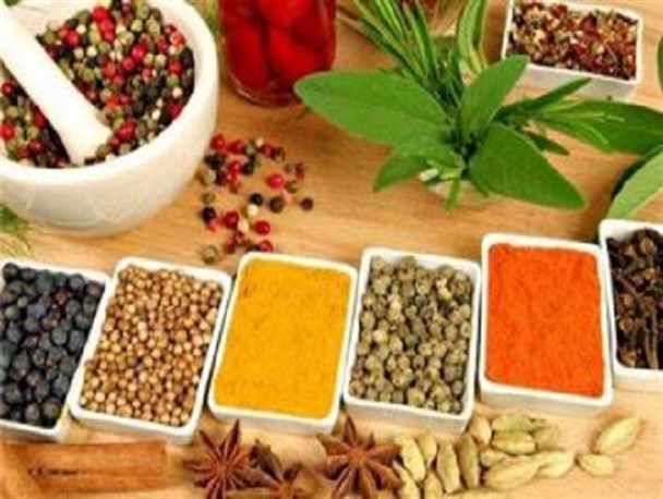 دوره آموزش طب سنتی در برخوار برگزار می شود
