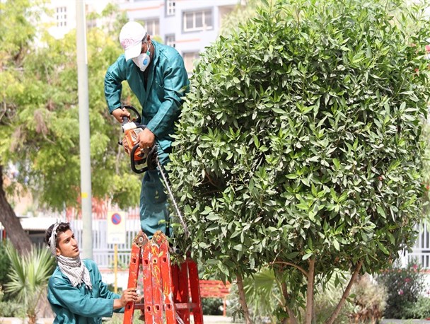 کارگران مشغول کارند+تصاویر