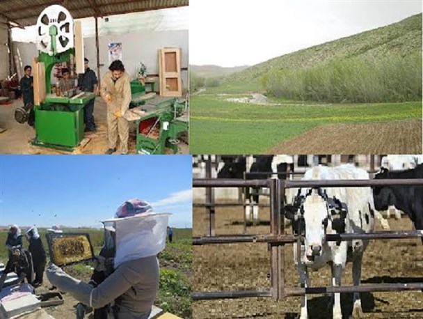 اجرای 855 طرح توان افزایی برای مددجویان تحت حمایت کمیته امداد استان همدان