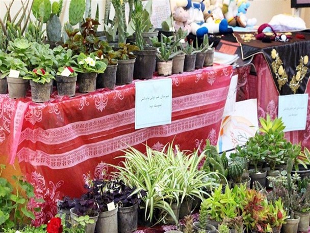 نمایشگاه‌ دستاوردهای هنری مجتمع پیام دانش نکا به روایت تصویر