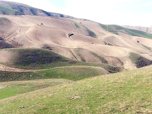 لزوم احیای ۲۰۰ هزار هکتار از مراتع سرخس/ خطر ریزگردها شهرستان سرخس را تهدید می‌کند!