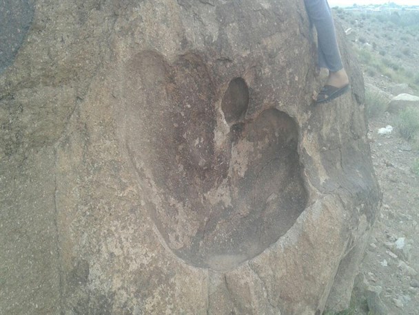 کشف اثر دست گونه ای ازدایناسورها در رابر/عکس