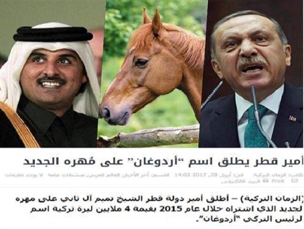 امیر قطر، اسب خود را "اردوغان" نامید