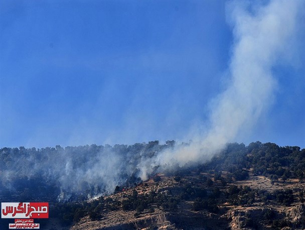 زبانه‌های آتش در کمین جنگل‌های زاگرس/ انسان‌هایی که آتش بیار این معرکه‌اند!+تصاویر