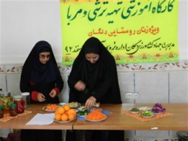 برگزاری کار گاه آموزشی تهیه ترشی و مربا ویژه زنان روستایی در شهرستان دلگان