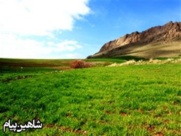 طبیت بکروزیبای کوهای اطراف آغ تپه شاهین دژ+تصاویر
