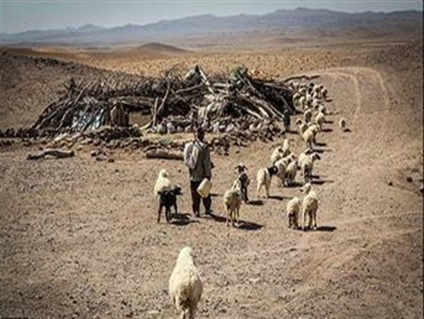 روزهای سخت دامداران سیستان و بلوچستان/ تقاضای واردات 300 هزار دام از پاکستان توسط مسئولین!