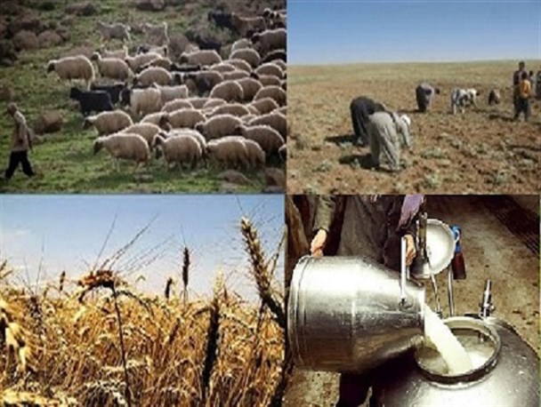 شهرستان دیواندره و پتانسیل های اقتصاد مقاومتی