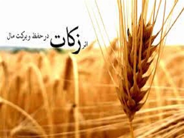 کشاورزان شرق اصفهانی پیشتاز در پرداخت زکات
