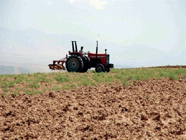 کشت تابستانه ممنوع