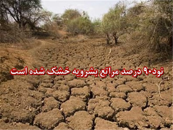 90 درصد مراتع بشرویه خشک شد/دامدارها یکی پس از دیگری دام خود را میفروشند