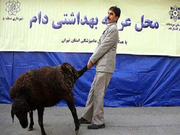 نذری دادن به محرومان سوءاستفاده از امام رضا است! قربانی کردن گوسفند سوءاستفاده از خدا نیست؟