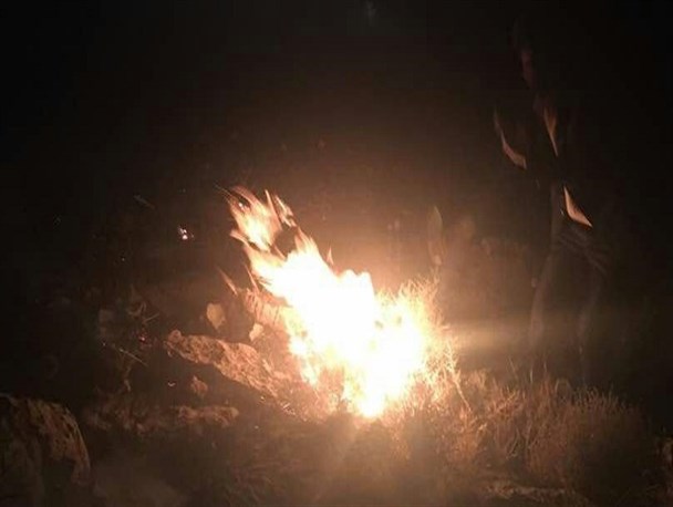 خطری که از گوش چرامی ها گذشت/روستای آرند چرام میزبان شعله های آتش+تصاویر