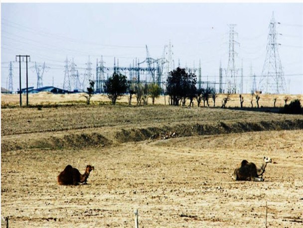 مستند سینمایی "دیه جی" ساخته می شود