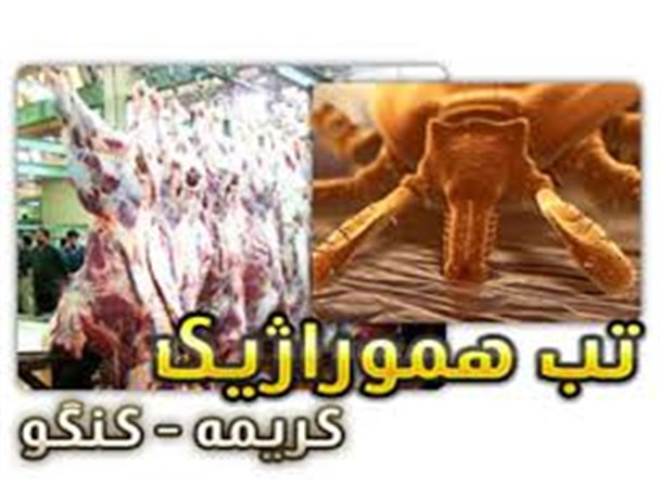 انسان ها میزبان اتفاقی ویروس کریمه کنگو هستند/ عدم رعایت اصول بهداشتی زمینه انتقال بیماری را فراهم می کند