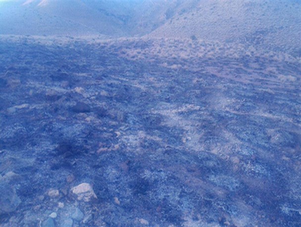 آتش سوزی در یکی از مراتع شهرستان راور+تصاویر
