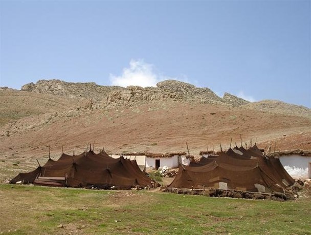 مراتع ییلاقی عشایر در حال خشک شدن است