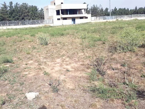 طلسم ۱۵ ساله ساخت ورزشگاه تربت‌جام شکسته می‌شود؟!/ وعده‌های تکرای کارساز نیست