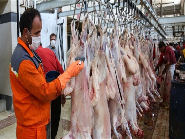 نظارت ۵۹ تیم دامپزشکی بر ذبح دا‌م‌های قربانی در خراسان جنوبی