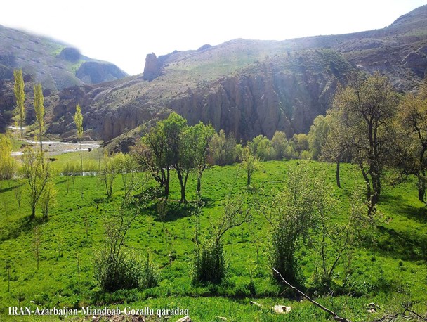 طبیعت زیبای روستای گوزللوی قره داغ میاندوآب به روایت تصویر