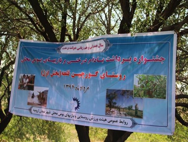 جشنواره برداشت بادام درختی در روستای گورچین قلعه ارومیه برگزار شد