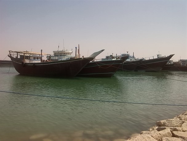 تعاونی صیادان دیلم خالی از میگو است