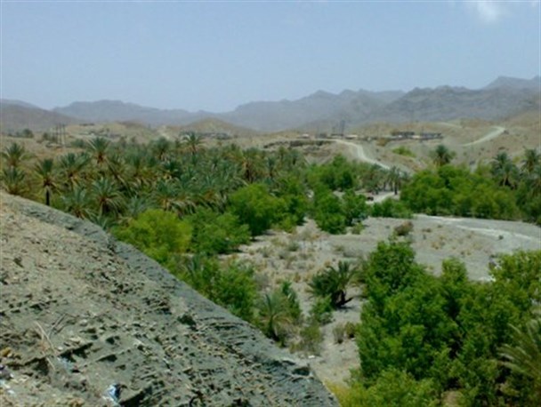 گزارش تصویری / طبیعت زیبای روستای بشنو بشاگرد