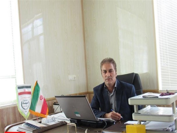 دو هزار و ۴۰۰ تن گندم خرید تضمینی کشاورزان چادگانی در حال نابودی است