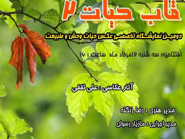 حیات وحش ایران در قاب حیات همدان به تصویر کشیده می شود