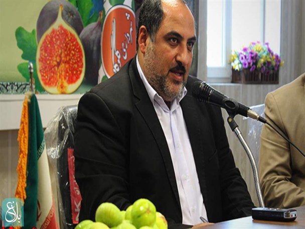 ششمین جشنواره انجیر ایران در گلوگاه برگزار می‌شود