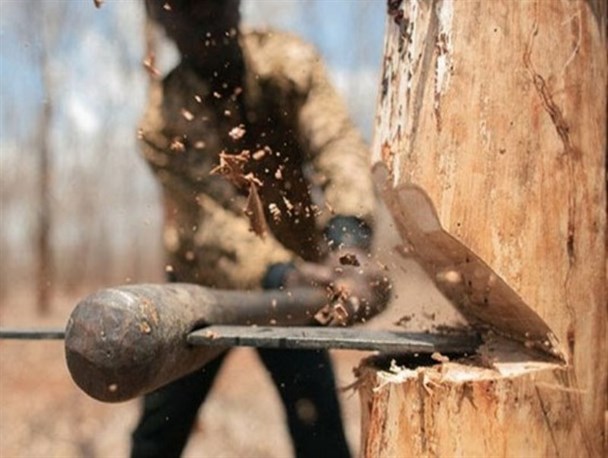 مصیبت ادامه‌دار در جنگل های بویراحمد/ قاتلان فراری  جنگل را شناسایی کنید+ فیلم