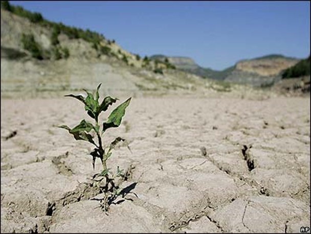 مشکل کمبود بارندگی در قم جدی است