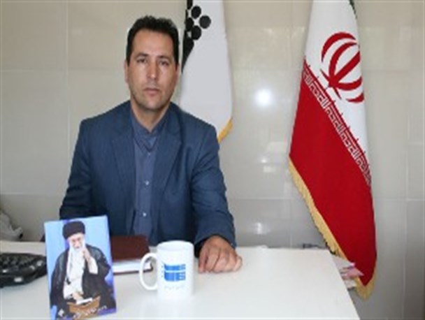 درختان آفت‌زده حاشیه رودخانه ارس پاکسازی می‌شود +تصاویر
