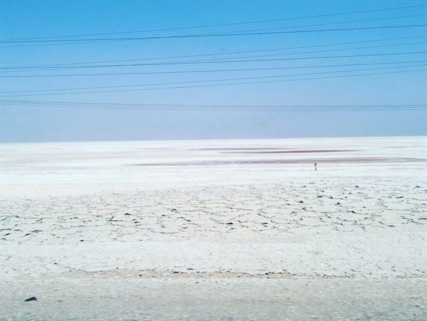 همکاری مشترک شرکت نیشکر با سازمان محیط زیست برای نابودی تالاب شادگان+تصاویر