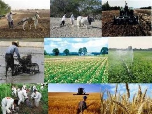 اعطای تسهیلات رونق تولید به ۸۵ دامدار فراهانی/ارتقای ضریب مکانیزاسیون کشاورزی هزینه های تولید را کاهش می دهد