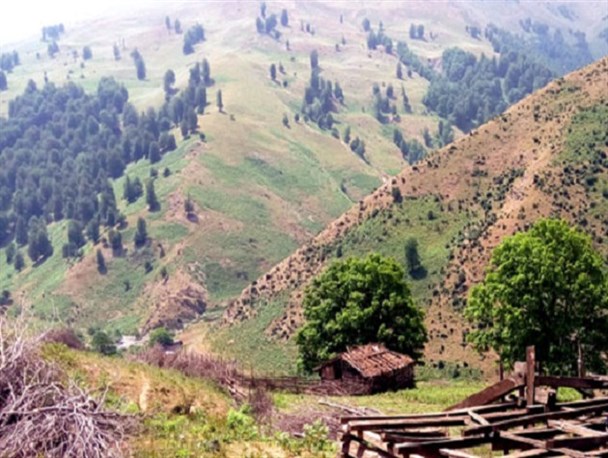 ییلاق زیبای النز شفت+تصویری