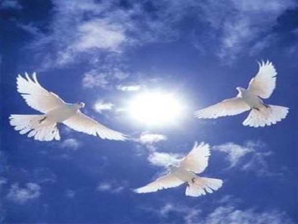 پیکر دو جانباخته دیگر اردبیلی فاجعه منا وارد کشور شد/ اردبیل منتظر 6 حاجی خونین بال دیگر