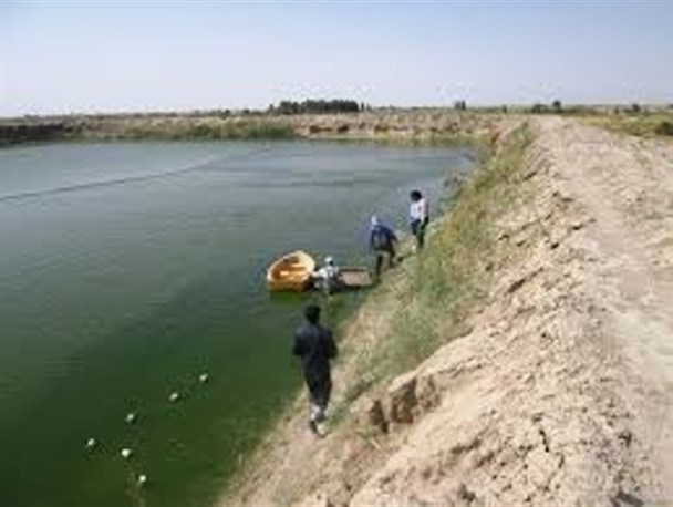 صیادان سیستانی تنها یک چهارم عوارض را نسبت به سایر استان ها پرداخت می کنند