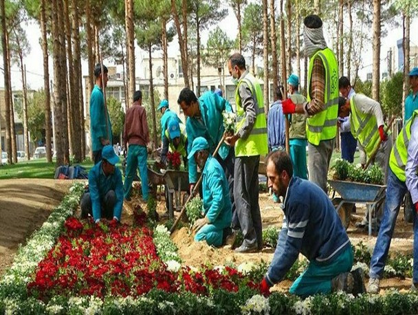 آغاز اجرای نخستین طرح فرش گل در دلیجان+عکس