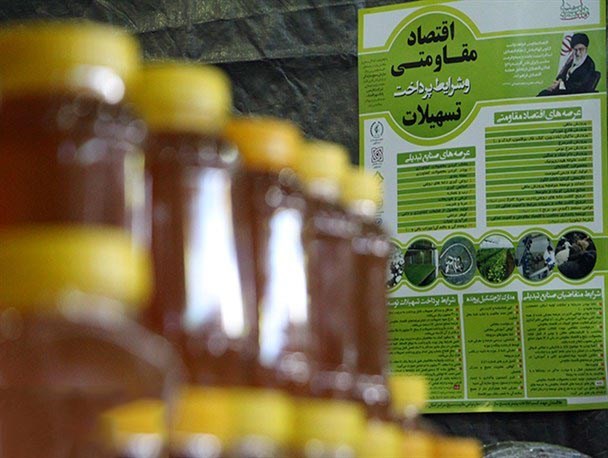 اعطای وام تسهیلات اقتصاد مقاومتی در شهرستان شادگان آغاز شد